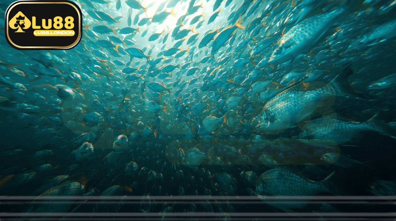 Sảnh bắn cá LU88 được xây dựng nhằm mang đến sự kết hợp hoàn hảo giữa giải trí thư giãn